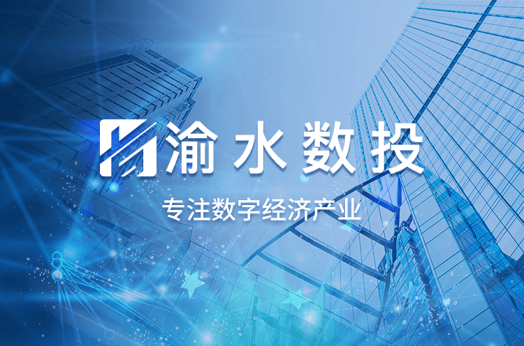 新余市渝水區(qū)數(shù)字經(jīng)濟(jì)投資發(fā)展有限公司